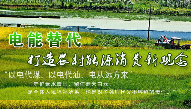 關于推進電能替代的指導意見 關于推進電能替代的指導意見